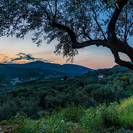 Maja ヴィラ スコペロス