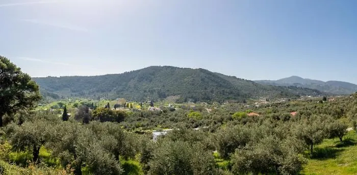 Maja * סקופלוס טאון