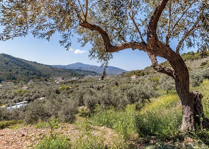 Villa Maja Skopelos Town