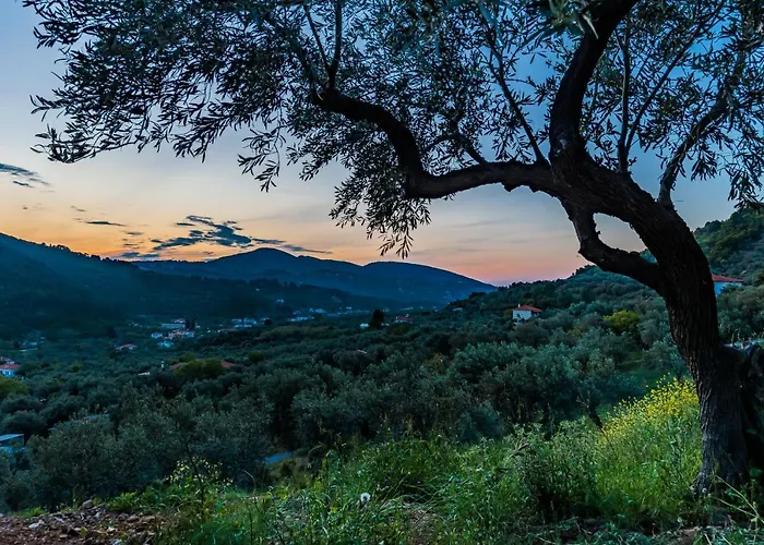 Maja וילה סקופלוס טאון